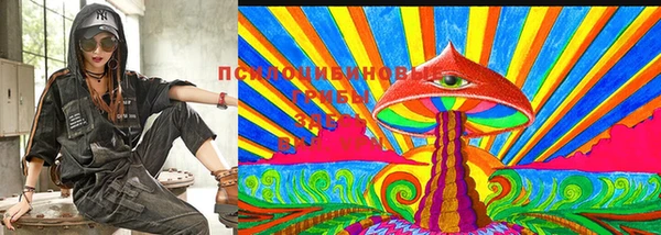 ГАЛЛЮЦИНОГЕННЫЕ ГРИБЫ Нягань