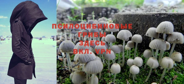 соль курить ск Няндома