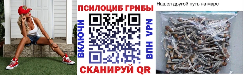 Псилоцибиновые грибы мухоморы  наркота  Опочка 